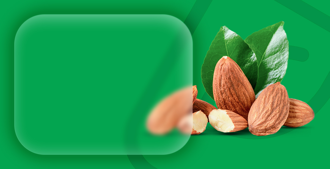 صفحه اصلی