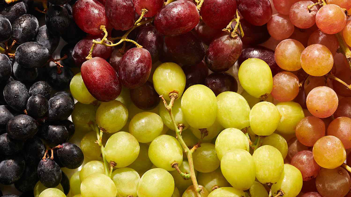 پرفروش‌ترین و پرطرفدارترین انگورهای ایران