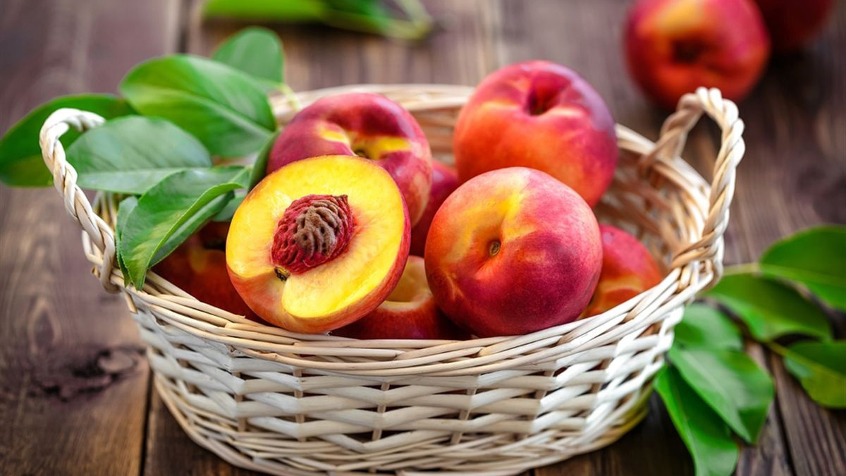 شلیل میوه تابستانی خوشمزه و پرخاصیت