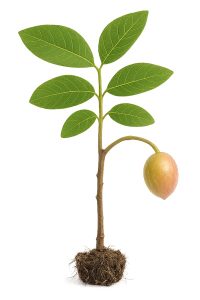 صفحه اصلی